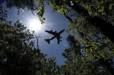 photo of a plane silhouetted against a blue sky seen through the branches of surrounding trees