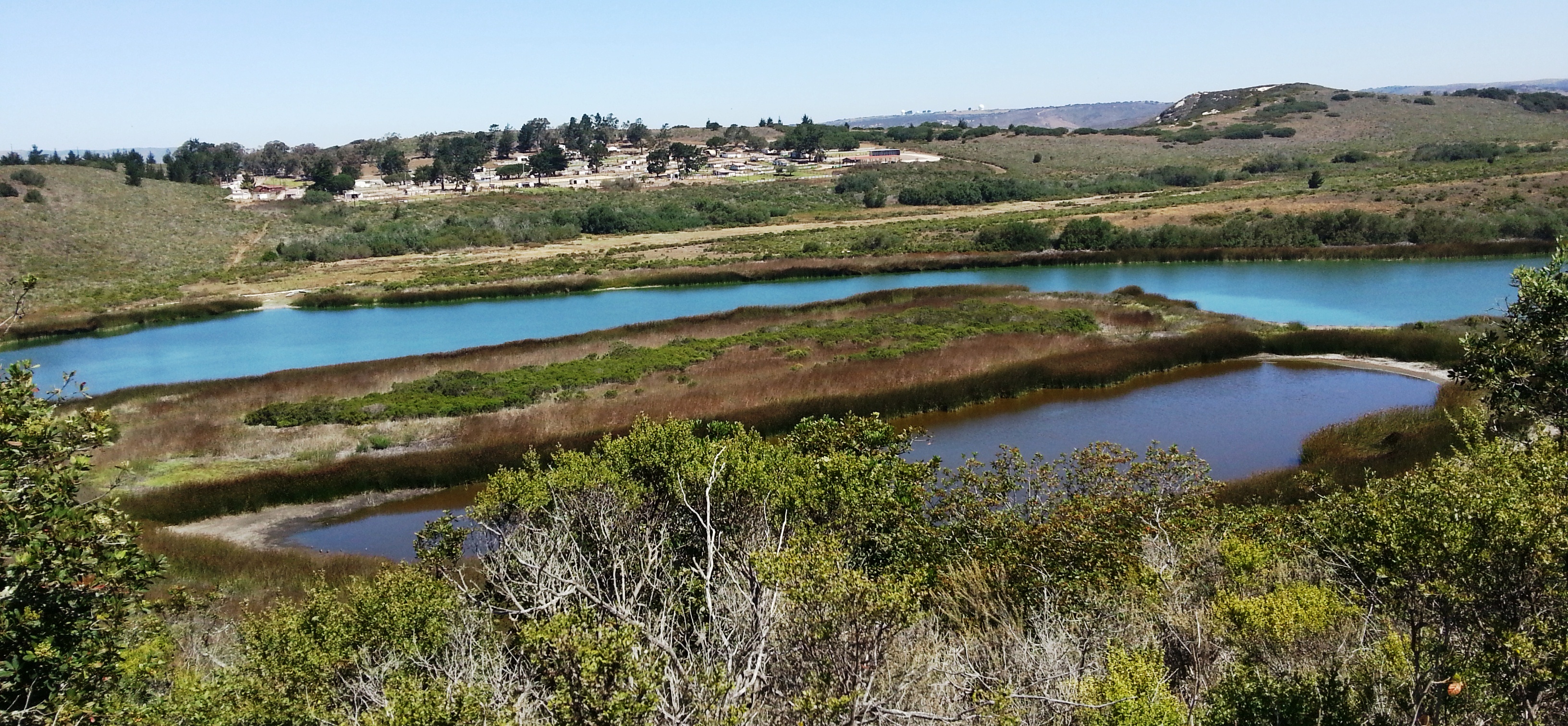 Groundwater/Surface Water Interaction