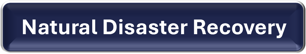 Natural Disaster Recovery Icon